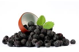 Black Raspberries