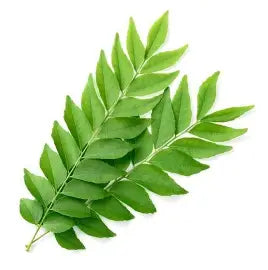 Curry Leaves Packet : Each