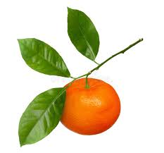 Royal Mandarin