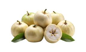 White Sapote