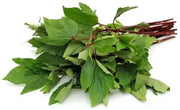 Gongura Leaves : /lb