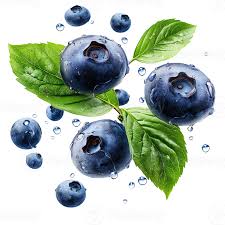 Ocean Spray Blueberries