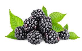 Black Raspberries