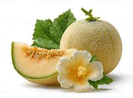 Cantaloupe Sliced 0.90 lb