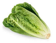 Romania Lettuce : Each