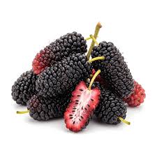 Black Mulberry 0.90 lb