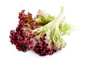 Red Leaf Lettuce : Each