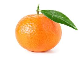 Jamaican Tangor Tangerines