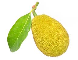 Jack Fruit