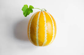 Korean Melon