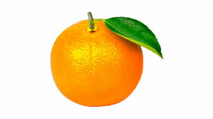 Midknight Oranges (large)