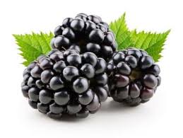 Blackberries 6oz