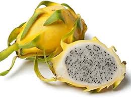 Yellow Dragon Fruit