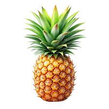 Pineapple