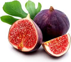 Fresh Figs
