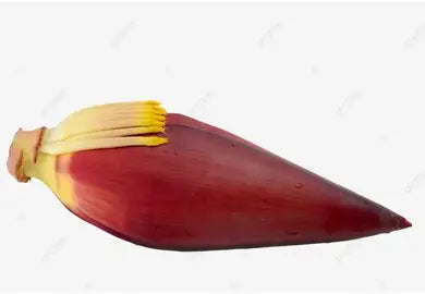 Banana Flower : /lb