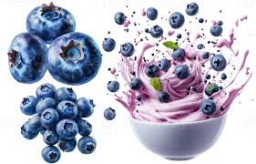 Country Magic Blueberries 16.9 oz