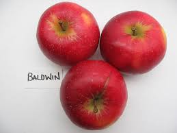 Baldwin Apple