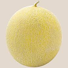 Honeydew