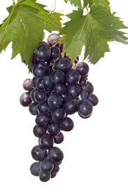 Black Muscat Grapes