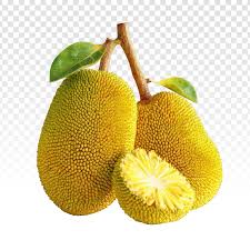 Jackfruit Cutting Yellow