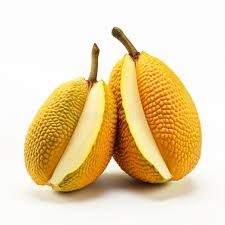Yellow Jackfruit