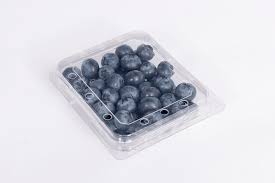 Blueberried Bleuets : Box