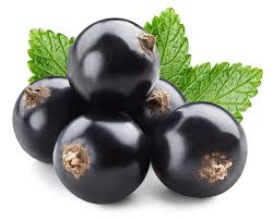 Black Currants, 0.9 lb