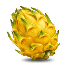 Yellow dragonfruit
