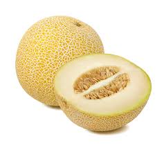 Saticoy Melon