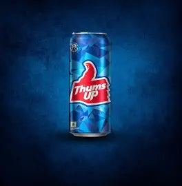 Thums Up Soda Can 300 ml