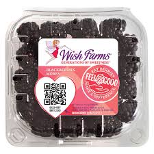 Wish Farms Blackberries 170 g