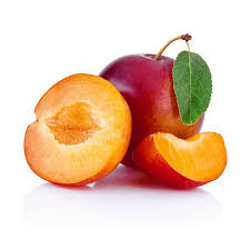 Red Plum