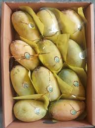 Mango Box Chaunsa : Each Box 2 Kg