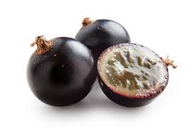Black Currant : 0 90 lbs