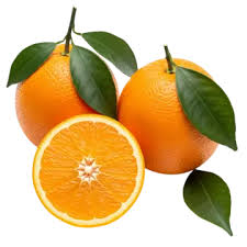 Orange Florida