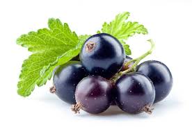 Black Currant : 0 90 lbs