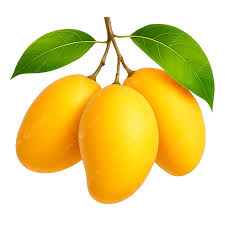 ALPHONSO MANGO