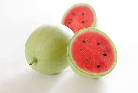 Mickey Lee Watermelon