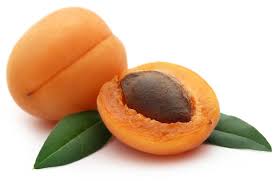 Fresh apricot