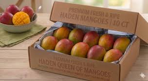 Haden mango box 10 cnt
