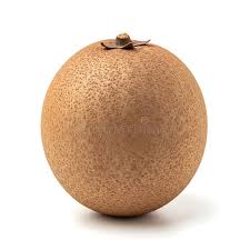 Sapodilla