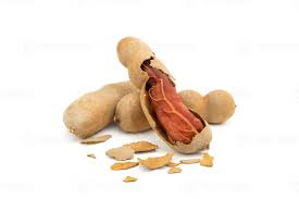Fresh Sour Tamarind 1 lb