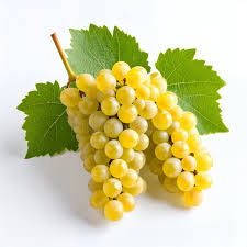 Golden Grapes