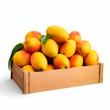 Mammoth Mango Box