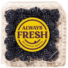 Always Fresh Blackberry 6 oz