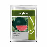 Watermelon Seed R/S 0.80 lb