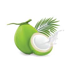 Delina fresh Young coconut