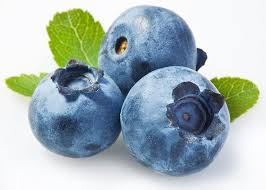 Blueberry 6 oz