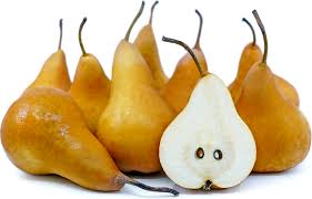 Bosc Pear (large)